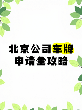 11.png